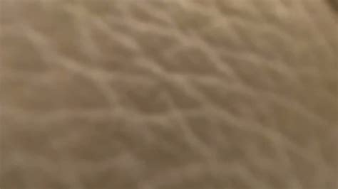 Lucy Mendez Anal Demolition