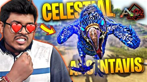 Taming Celestial Argentavis And Origin Rex Boss Fight Ark Primal Fear