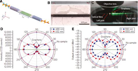 Broadband Graphene Polarizer A Schematic Model Of Fiber To Graphene