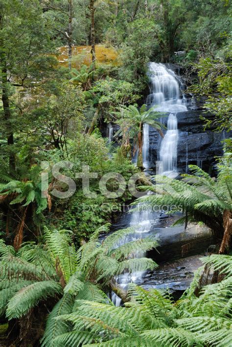 Waterfalls Stock Photo Royalty Free Freeimages