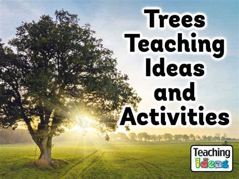 Trees Teaching Ideas And Activities Teaching Ideas