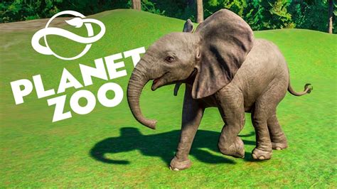 This Baby Elephant Hit Me In The Feels Planet Zoo Youtube