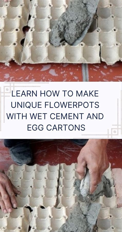 A Man Uses Wet Cement And Egg Cartons To Make The Most Unique Planters