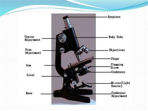 Microscope and its types | PPT