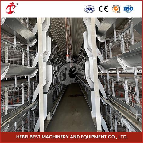 Bestchickencage H Frame Broiler Cages China Automatic Breeding Chicken