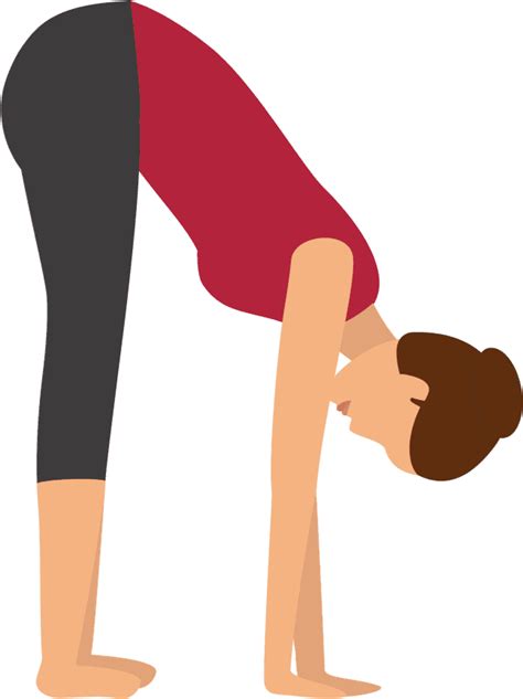 Standing Forward Bend Pose Stretching Clipart Pinclipart Sexiz Pix