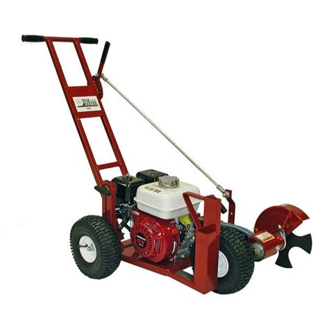 LAWN EDGER - GAS - Low Cost Equipment