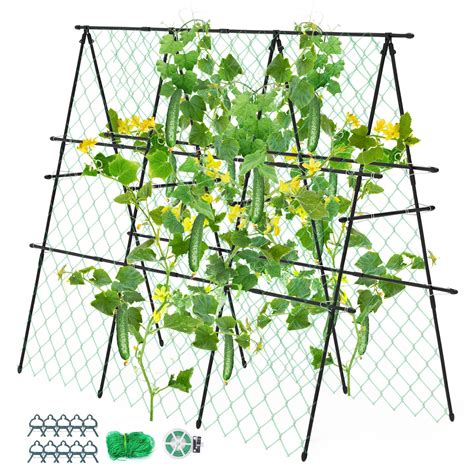 Snapklik Garden Trellis For Climbing Plants Outdoor Deaunbr