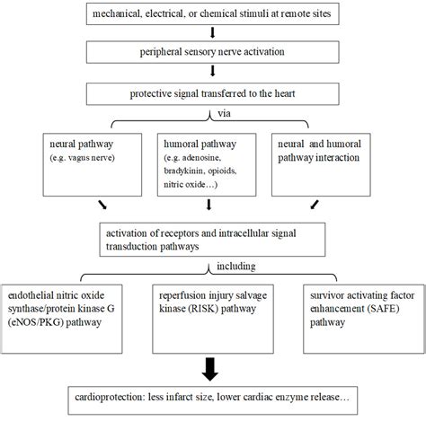 Remote Ischemic Preconditioning For Cardioprotection In Patients