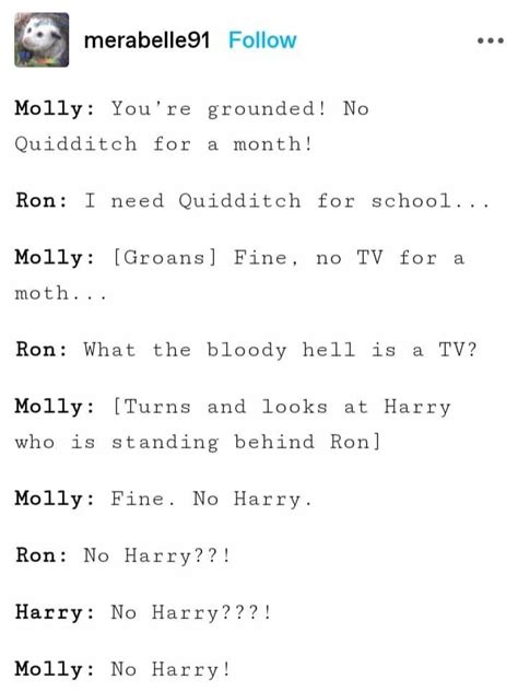 Gay Harry Potter Memes