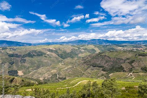 O Douro Visto do Miradouro de São Leonardo em Galafura Stock Photo