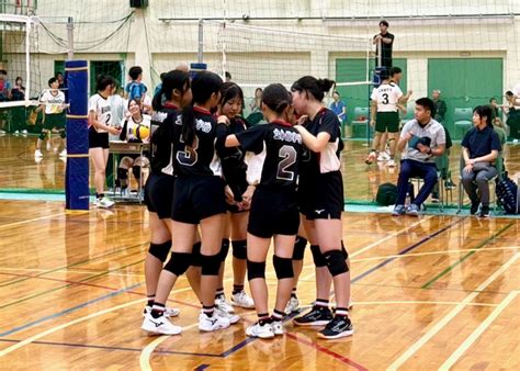 high school girls volleyball team tops  preliminary league