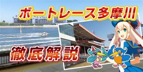 ボートレース多摩川（多摩川競艇場）を徹底解説【水面特徴・コース攻略】 競艇予想サイトランキング！稼げる競艇予想サイトサイトから悪質な競艇予想サイトサイトまで徹底検証！競艇ニュースや選手