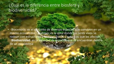 Cartilla De La Biodiversidad Pptx