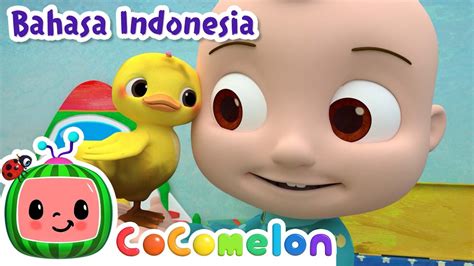 Petak Umpet Bebek Lucu Cocomelon Bahasa Indonesia Lagu Anak Anak