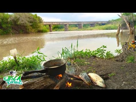 Pesca De Bagres Y Bogas En Un Arroyo Incre Ble Pesca Y Cocina Youtube