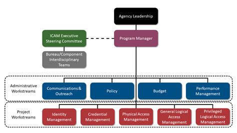 ICAM Program Management 101