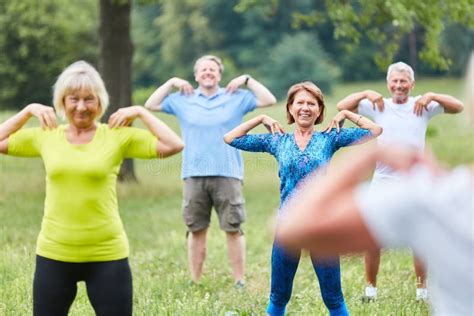 Group Of Seniors Doing Gymnastics Course Stock Photo Image Of Senior