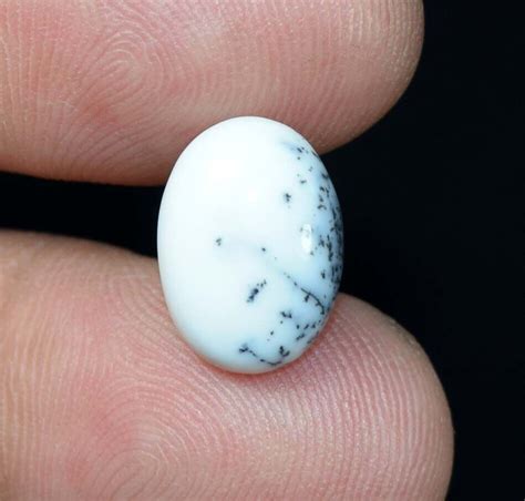 4 45 Cts Cabochon Ovale 100 Naturel Dendrite Opale Dos Plat Pierres