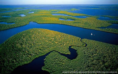 100 Everglades Nationalpark Wallpapers Wallpapers