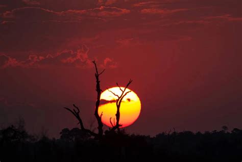 Exploring The Natural Beauty Of Kruger National Park