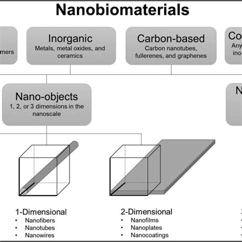 Schematic Representation Of Different Nanocarrier Systems And Their