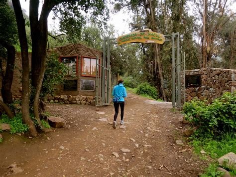 Rayan rocas en Parque Quebrada de Macul Aún no identifican a los