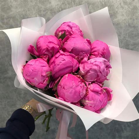 Купить пионы с доставкой в Москве недорого - Roses Delivery