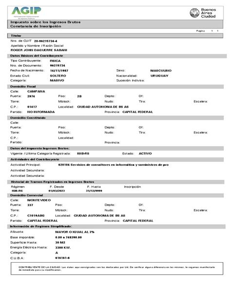 Impuesto Sobre Los Ingresos Brutos Constancia De Inscripción Pdf