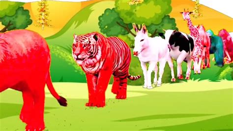 Cartoon Video Animationcartoon Animalscolour Animal Walk Youtube