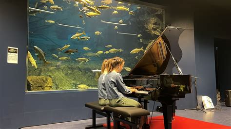 Rheintalische Musikschule Tag Der Offenen T R Vorarlberger