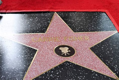 Walk of Fame stars: how much do they cost, requirements and the ...