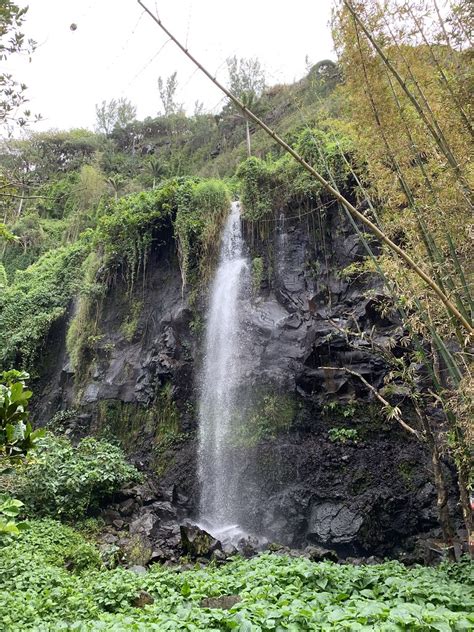 Anse Des Cascades La R Union Marion Dupuy Flickr