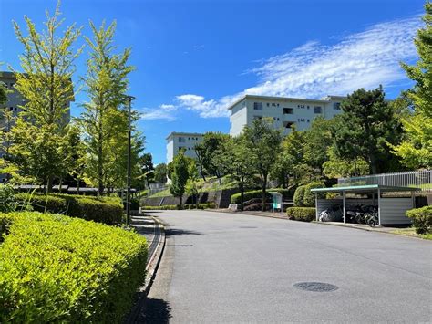 美しが丘虹ヶ丘すすき野 横浜川崎境界あたりを歩く 散歩の途中