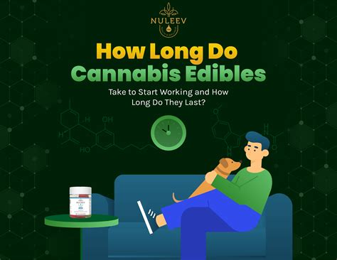 how long does cannabis take to bud
