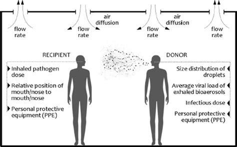 A Donor Recipient Model Of Transmission Of Respiratory Pathogens Within