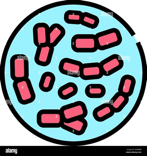 Bifidobacterium Probiotics Color Icon Vector Illustration Stock Vector