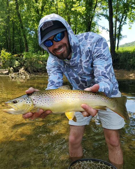 Caney Fork River Trout Fishing