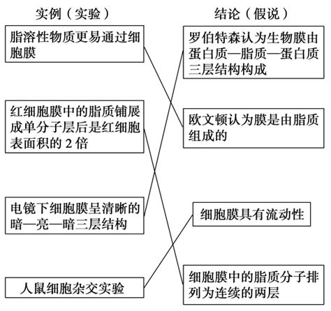 2013步步高生物大一轮复习答案第二章word文档在线阅读与下载无忧文档