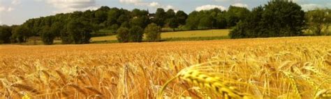 gron site officiel de la commune