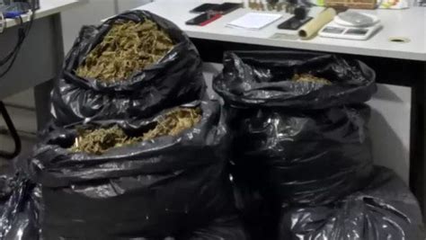 Operação Policial Apreende 100 Kg De Drogas Bnews Nordeste Bnews