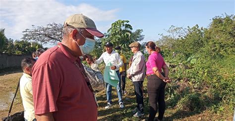 Alcalde Manuel Jiménez supervisa área verde sector Agua Loca promete