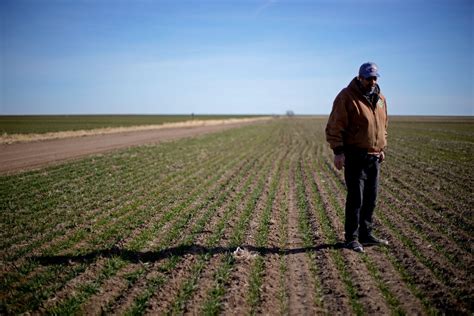 Opinion Black Farmers May Finally Get The Help They Deserve The New York Times