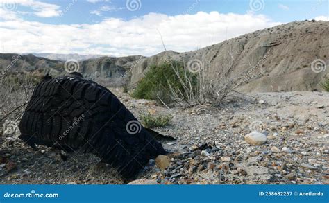 Destroyed Rubber Car Tire On Nature Stock Image Image Of Dump Tire