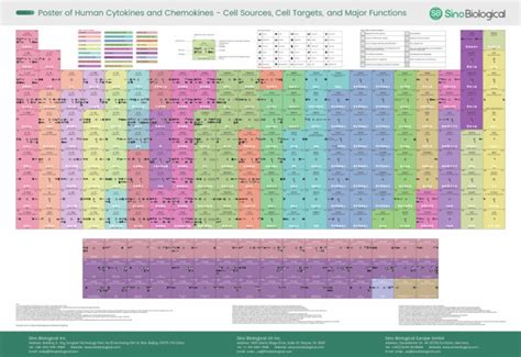 Cytokines and Chemokines Poster | PDF