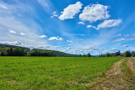 Field Grass Grassland Free Photo On Pixabay Pixabay