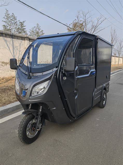 High Quality Enclosed Eec Approved Electric Cargo Car For Adult 3 Wheel