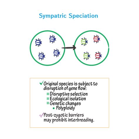 General Biology Glossary Speciation Ditki Medical Biological Sciences