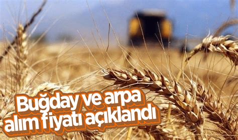 Bu Day Ve Arpa Al M Fiyat A Kland