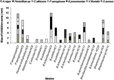 Antimicrobial Activity Of Sarcophyton Glaucum Culturable Bacteria